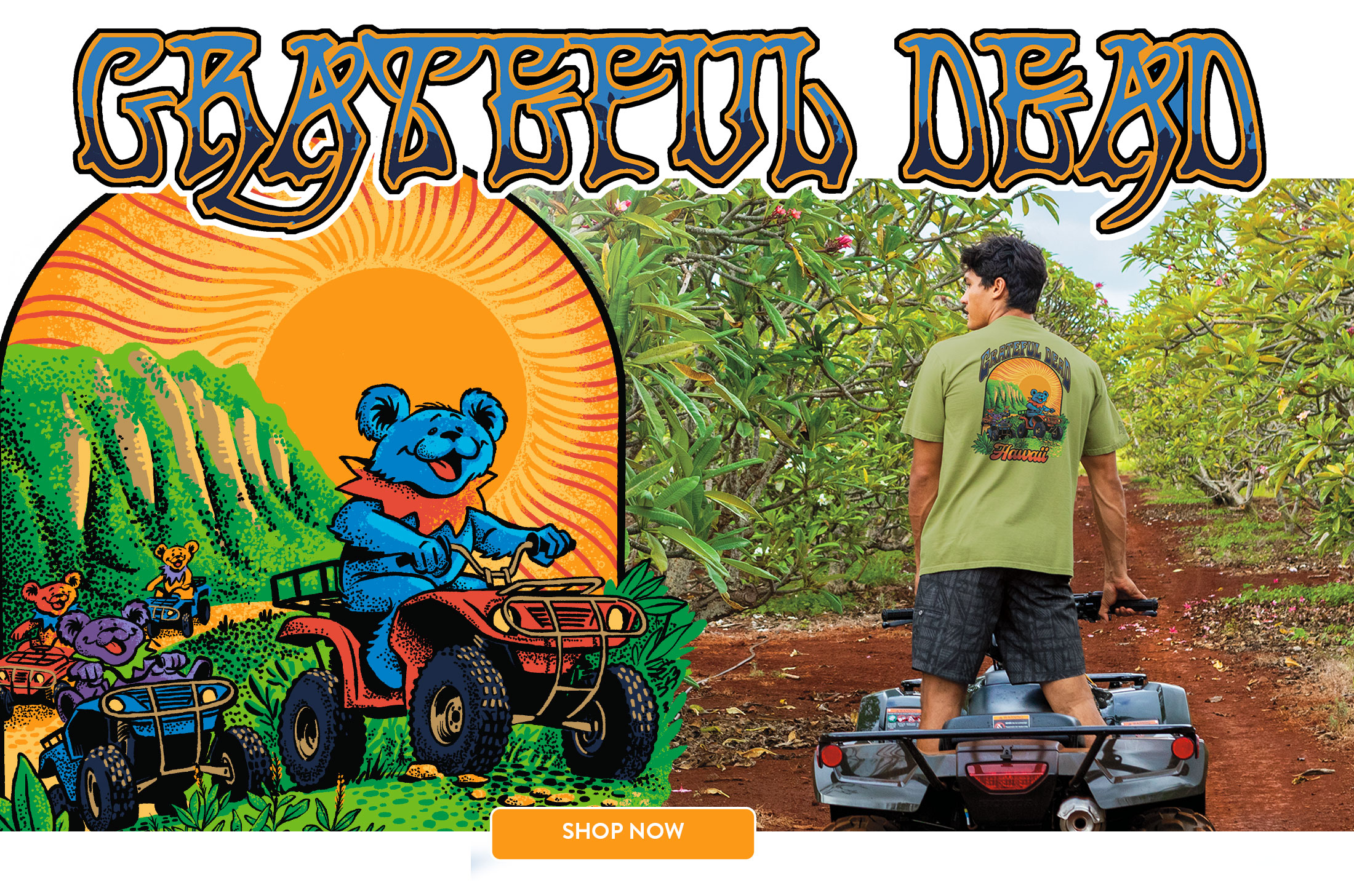 Grateful Dead Collection | Shop Now